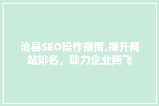 沧县SEO操作指南,提升网站排名，助力企业腾飞 GoogleSEO
