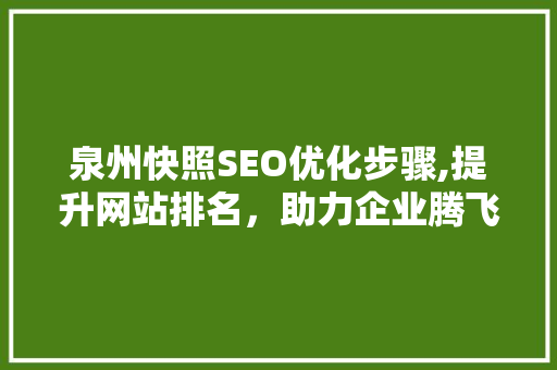 泉州快照SEO优化步骤,提升网站排名，助力企业腾飞 神马SEO