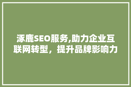 涿鹿SEO服务,助力企业互联网转型，提升品牌影响力