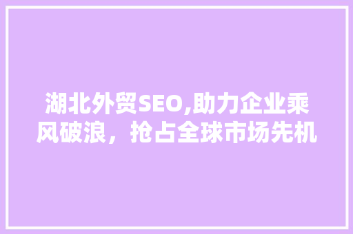 湖北外贸SEO,助力企业乘风破浪，抢占全球市场先机 必应SEO