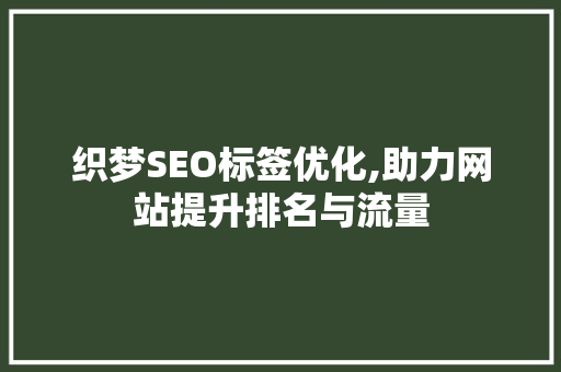 织梦SEO标签优化,助力网站提升排名与流量