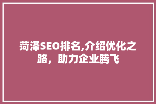 菏泽SEO排名,介绍优化之路，助力企业腾飞 神马SEO
