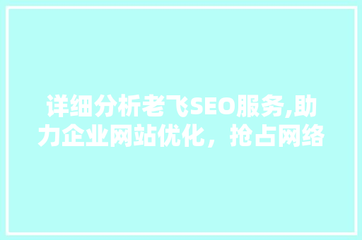 详细分析老飞SEO服务,助力企业网站优化，抢占网络市场先机 百度SEO