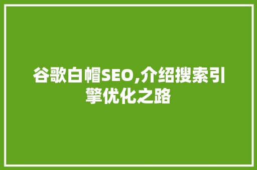 谷歌白帽SEO,介绍搜索引擎优化之路 百度SEO