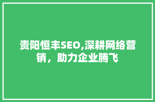 贵阳恒丰SEO,深耕网络营销，助力企业腾飞 搜狗SEO
