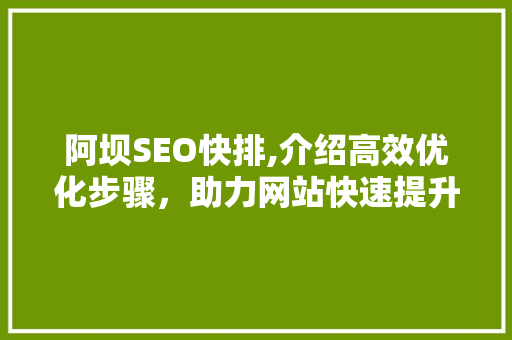 阿坝SEO快排,介绍高效优化步骤，助力网站快速提升排名 神马SEO