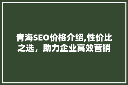 青海SEO价格介绍,性价比之选，助力企业高效营销 GoogleSEO