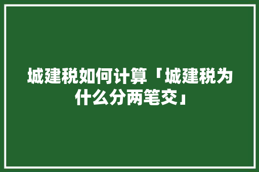 城建税如何计算「城建税为什么分两笔交」 城建税如何计算「城建税为什么分两笔交」 GoogleSEO