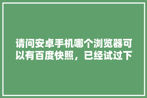 请问安卓手机哪个浏览器可以有百度快照，已经试过下载手机百度但是没有，谢谢「为什么百度快照取消了」 搜狗SEO