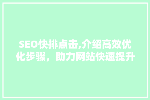 SEO快排点击,介绍高效优化步骤，助力网站快速提升流量 必应SEO