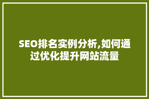 SEO排名实例分析,如何通过优化提升网站流量 搜狗SEO