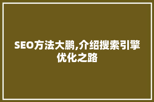 SEO方法大鹏,介绍搜索引擎优化之路 百度SEO