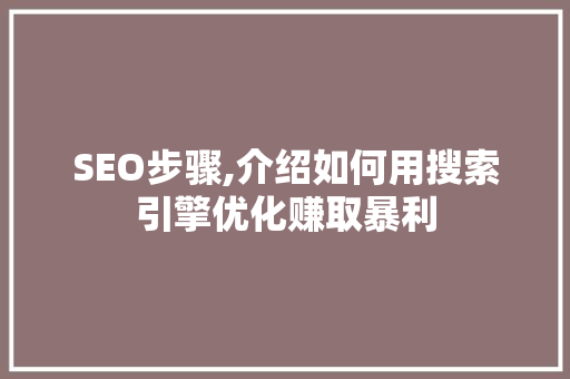 SEO步骤,介绍如何用搜索引擎优化赚取暴利 必应SEO