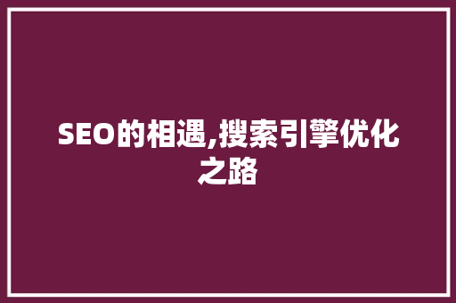 SEO的相遇,搜索引擎优化之路 必应SEO