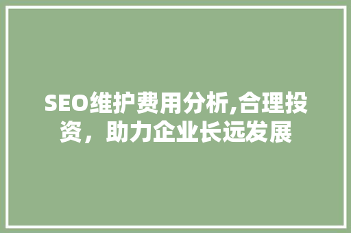SEO维护费用分析,合理投资，助力企业长远发展 百度SEO