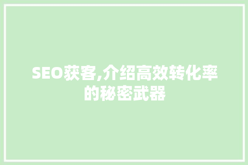SEO获客,介绍高效转化率的秘密武器 神马SEO