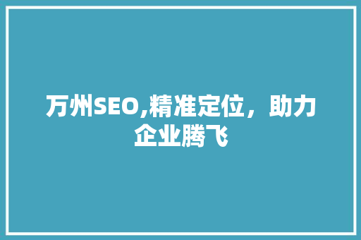 万州SEO,精准定位，助力企业腾飞 百度SEO