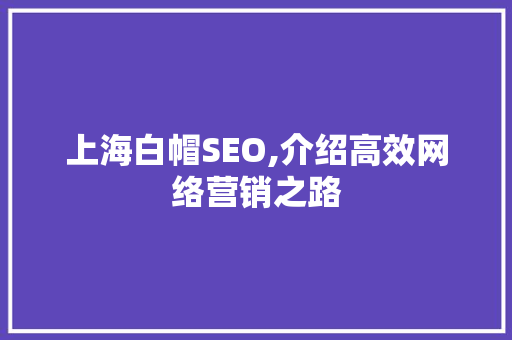 上海白帽SEO,介绍高效网络营销之路 GoogleSEO