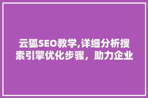 云狐SEO教学,详细分析搜索引擎优化步骤，助力企业网站提升排名 百度SEO