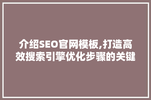 介绍SEO官网模板,打造高效搜索引擎优化步骤的关键 GoogleSEO