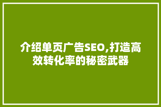介绍单页广告SEO,打造高效转化率的秘密武器 搜狗SEO