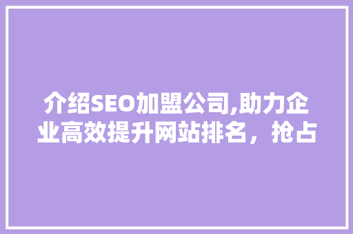 介绍SEO加盟公司,助力企业高效提升网站排名，抢占市场先机 GoogleSEO