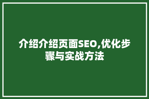 介绍介绍页面SEO,优化步骤与实战方法 GoogleSEO
