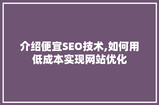 介绍便宜SEO技术,如何用低成本实现网站优化 GoogleSEO