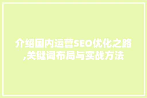 介绍国内运营SEO优化之路,关键词布局与实战方法 百度SEO
