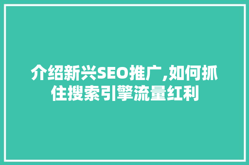 介绍新兴SEO推广,如何抓住搜索引擎流量红利 神马SEO