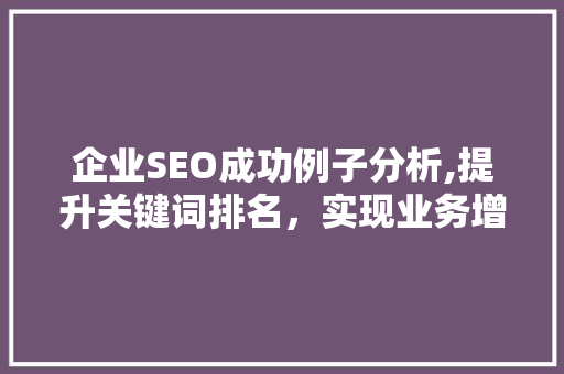 企业SEO成功例子分析,提升关键词排名，实现业务增长 百度SEO