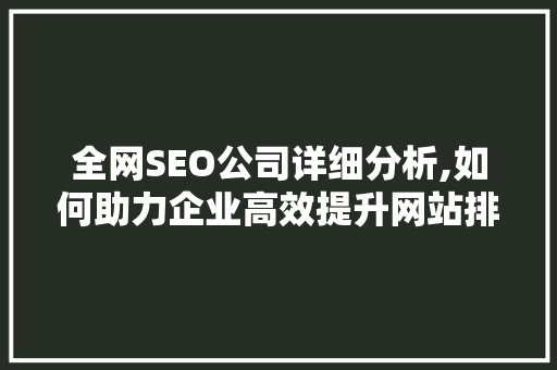 全网SEO公司详细分析,如何助力企业高效提升网站排名 GoogleSEO