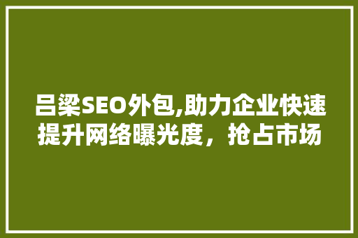 吕梁SEO外包,助力企业快速提升网络曝光度，抢占市场先机 神马SEO
