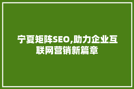 宁夏矩阵SEO,助力企业互联网营销新篇章 必应SEO