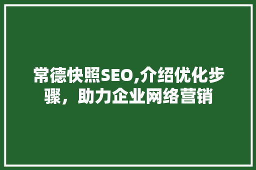 常德快照SEO,介绍优化步骤，助力企业网络营销 必应SEO