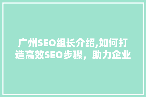 广州SEO组长介绍,如何打造高效SEO步骤，助力企业互联网发展 搜狗SEO