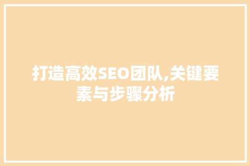打造高效SEO团队,关键要素与步骤分析 百度SEO