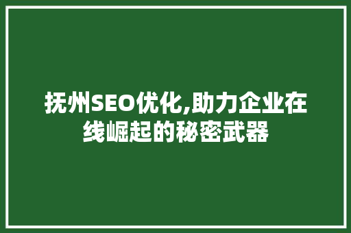 抚州SEO优化,助力企业在线崛起的秘密武器 必应SEO