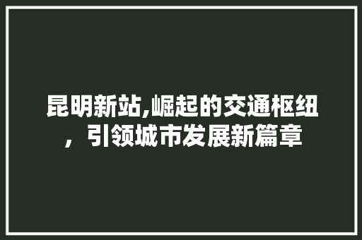 昆明新站,崛起的交通枢纽，引领城市发展新篇章 百度SEO