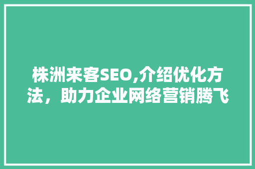 株洲来客SEO,介绍优化方法，助力企业网络营销腾飞 神马SEO