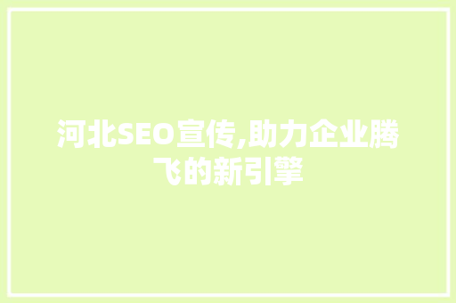 河北SEO宣传,助力企业腾飞的新引擎 神马SEO