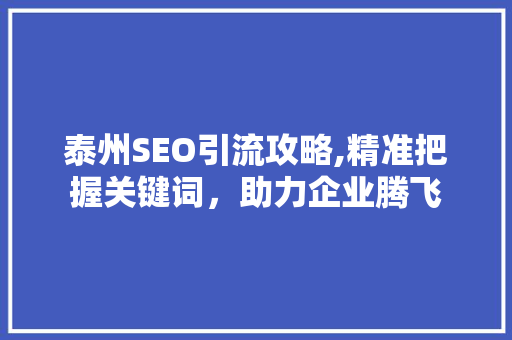 泰州SEO引流攻略,精准把握关键词，助力企业腾飞 百度SEO