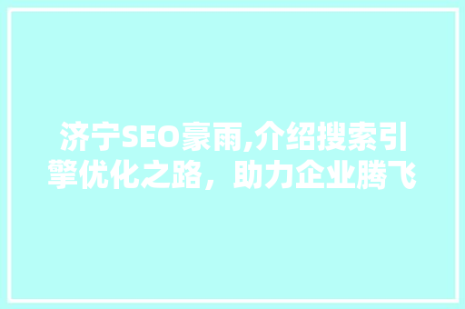 济宁SEO豪雨,介绍搜索引擎优化之路，助力企业腾飞 百度SEO