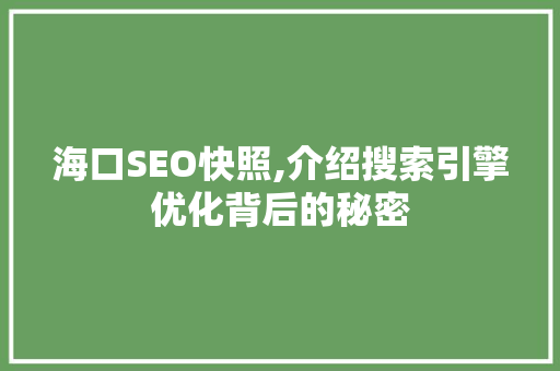 海口SEO快照,介绍搜索引擎优化背后的秘密 百度SEO