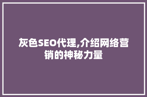 灰色SEO代理,介绍网络营销的神秘力量 百度SEO