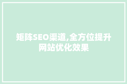 矩阵SEO渠道,全方位提升网站优化效果 神马SEO