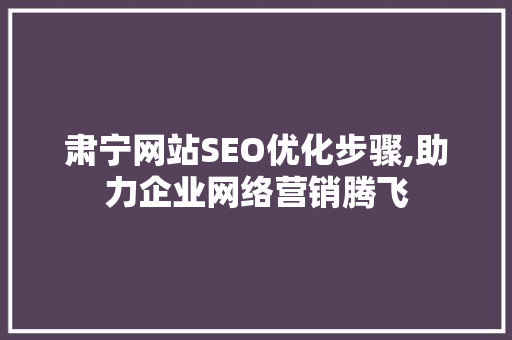 肃宁网站SEO优化步骤,助力企业网络营销腾飞 必应SEO
