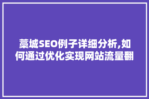 藁城SEO例子详细分析,如何通过优化实现网站流量翻倍 GoogleSEO