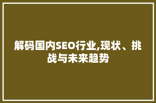 解码国内SEO行业,现状、挑战与未来趋势 必应SEO