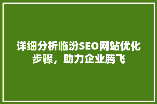 详细分析临汾SEO网站优化步骤，助力企业腾飞 搜狗SEO